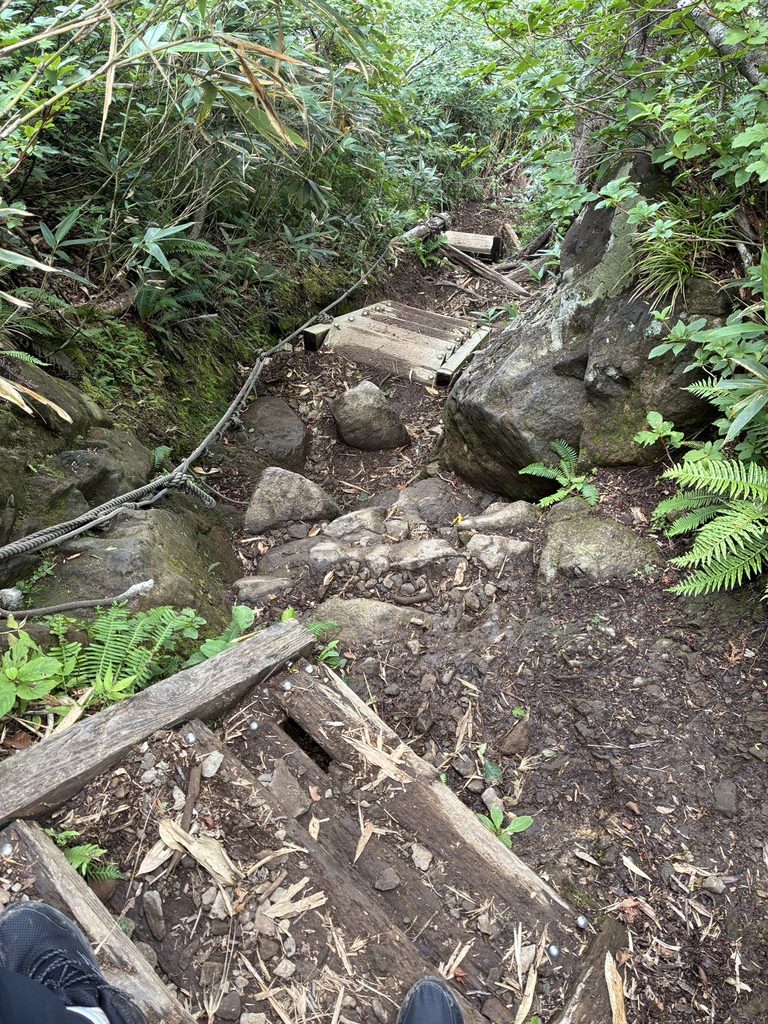 荒島岳　もちがかべ