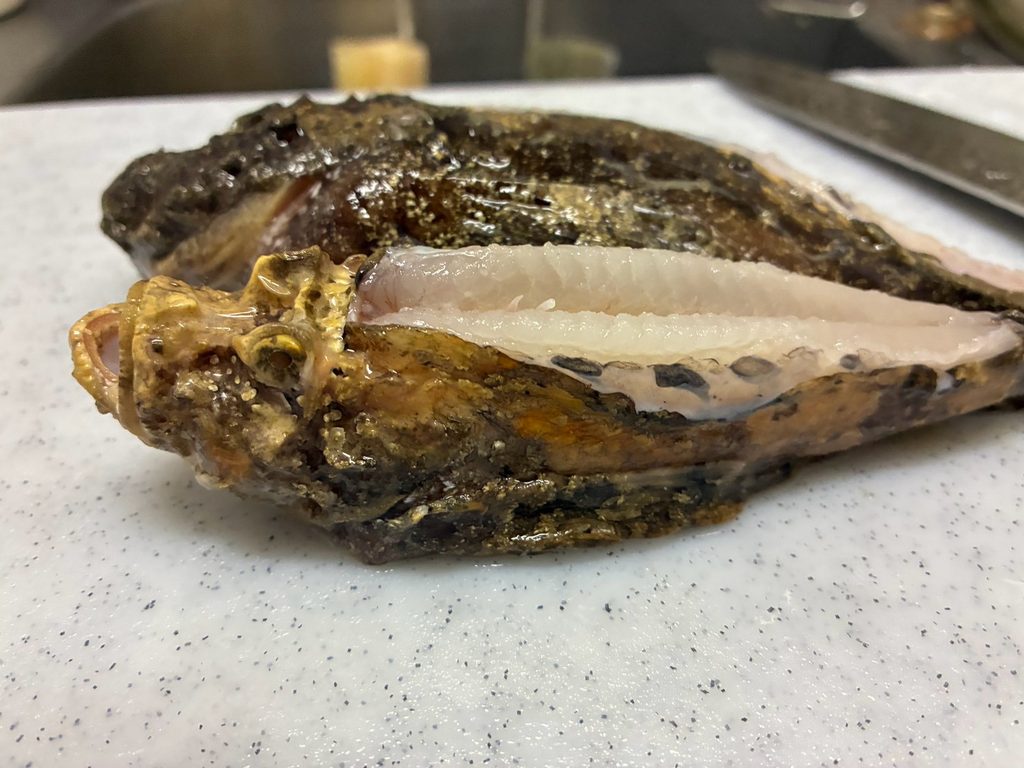 安宅漁港の港の直売所で購入したオコゼ