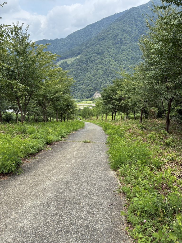 荒島岳　勝原登山口　坂