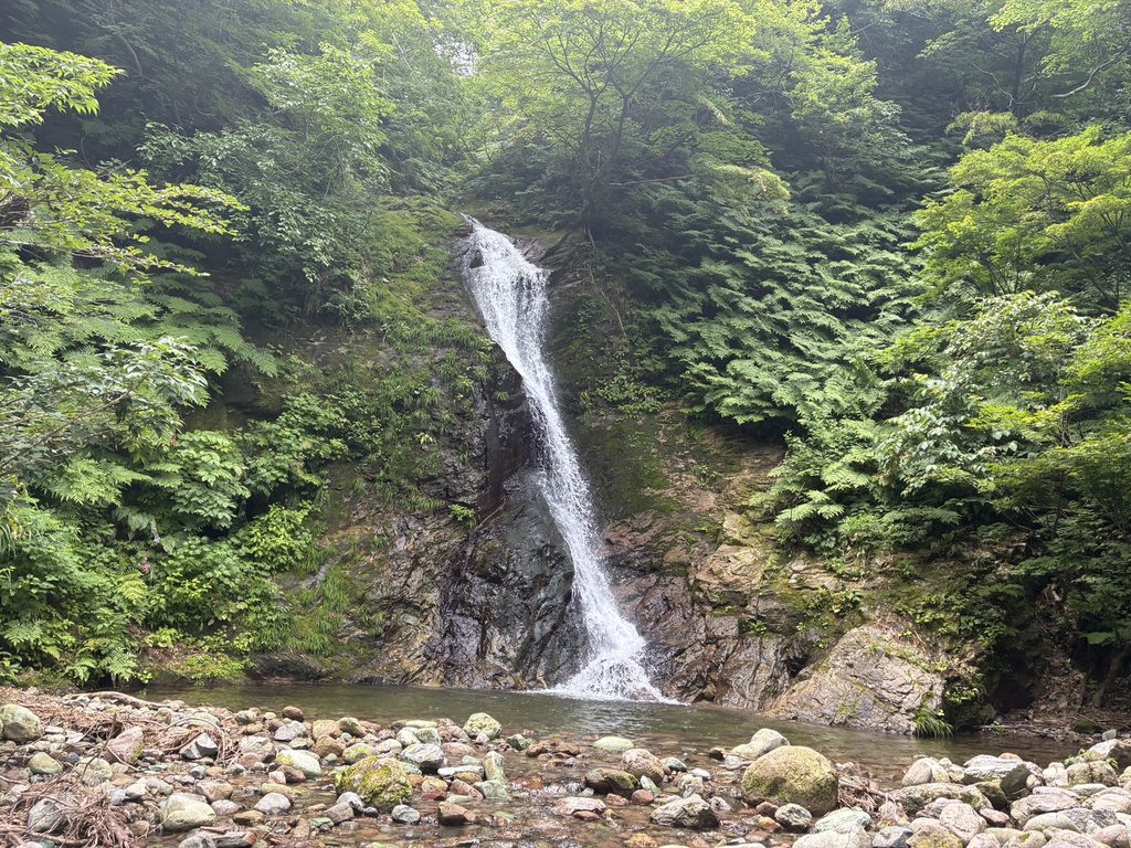 医王山　三色泉