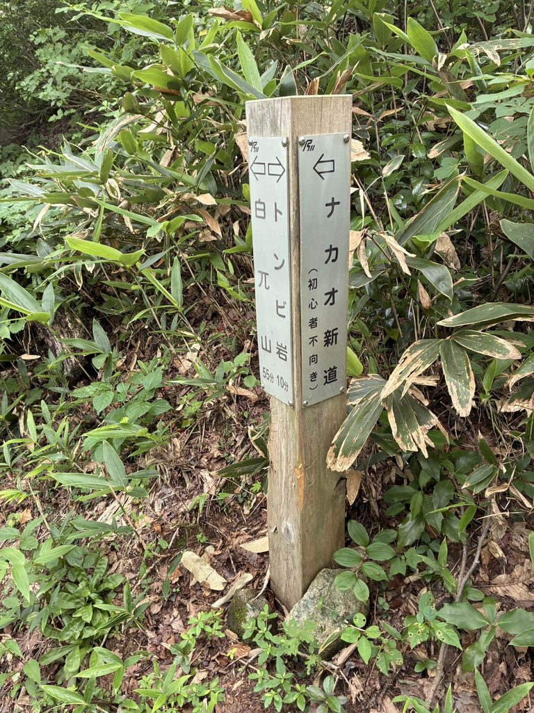 医王山登山道案内表記