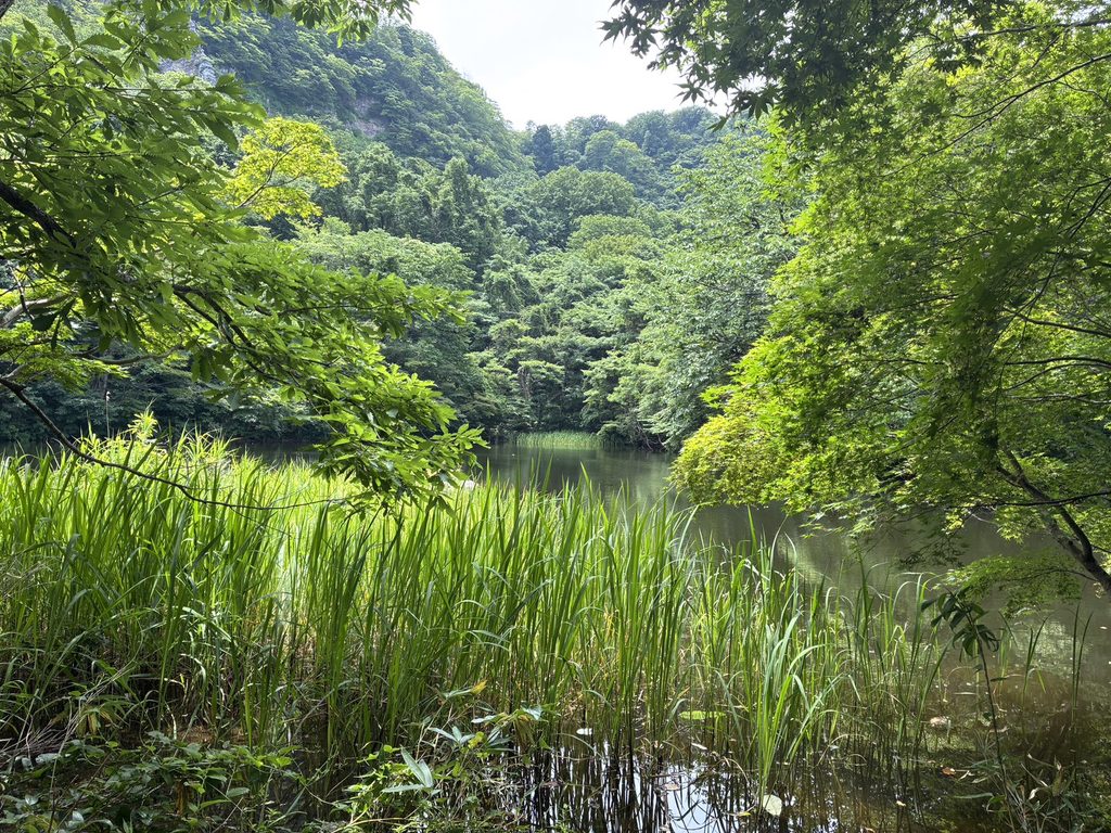 医王山　大平池