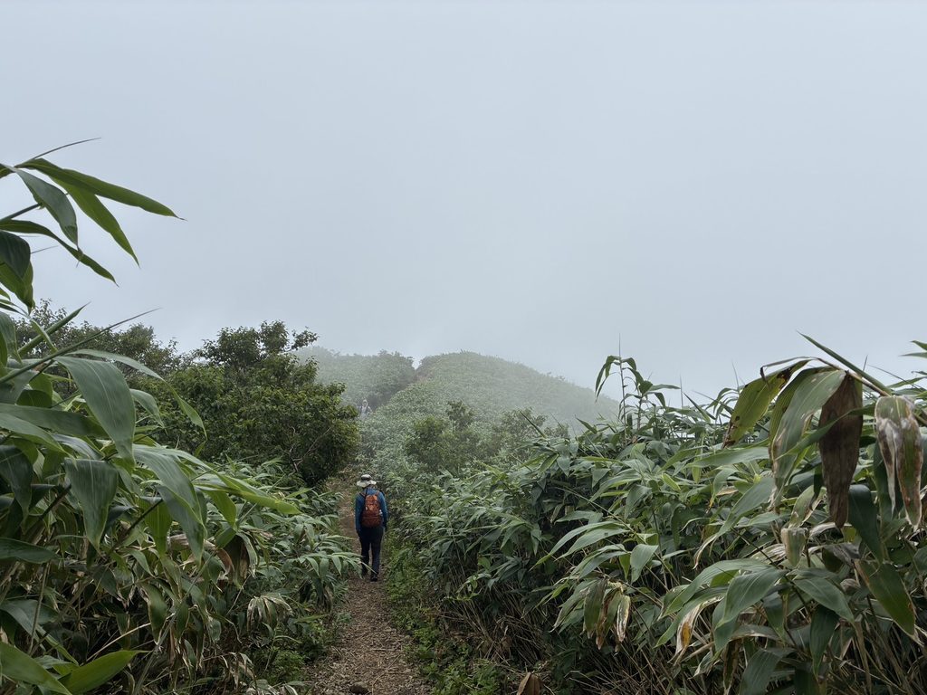 荒島岳　登山道